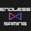 Endless Gaming Academy