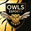 OWLS ESPORTS