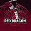 Red Dragon e-Sports
