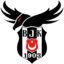 Beşiktaş JK