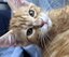 R4CING