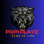 PaPI PLAYz