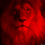 Red Lions The king of the Sabana