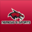 Nemesis E-Sports Team (was deleted at: 2021-02-25T17:01:39.2286926Z)