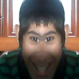 louzaodocarai
