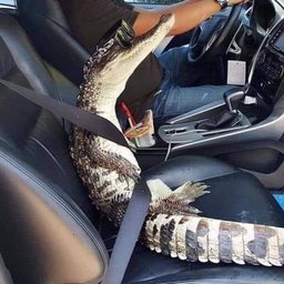 Paulo Eduardo Gonçalves