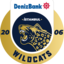 DenizBank IstanbuI Wildcats
