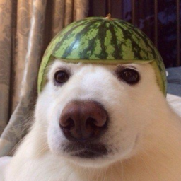 |||||||||||||||||||||||||||||||||||||||||||||