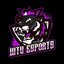 Team WTU