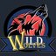 WiId Wolves (was deleted at: 2020-08-30T21:24:37.2085638Z)