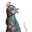 Ranked Rats