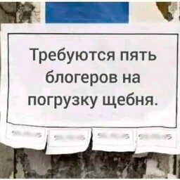 muzhchinachestnoysudby