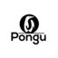 Pongu Ice