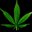 MiamiGaming