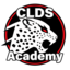 Clouded Leopards Academy