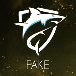FAKE:y