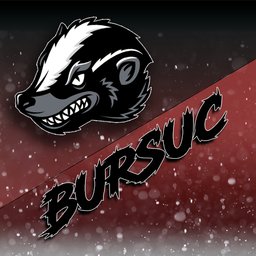 Bursuc18