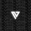 VTL esports