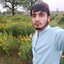 Aliafridi