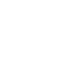 dabsie