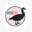 GoosePro