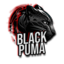 BlackPuma
