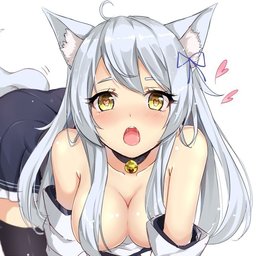 ?????? ????#11