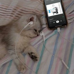onthemoodcs