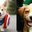 Dem damn dogs