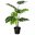 Plantwithinplant