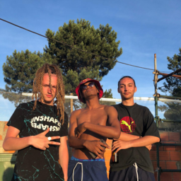Hashicoca
