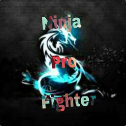 NinjaProFighter