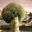 gingaa-