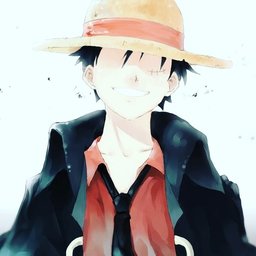 Luffy's hat