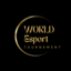 World Esport Tournament
