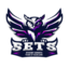 Students Esports Team of Saarland