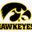 HAWK EYE