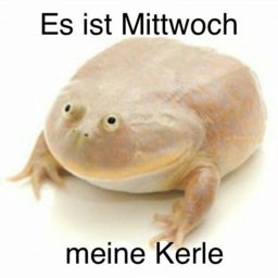 Pilzkopf