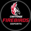 Carthage College Firebirds
