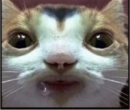 Black CrewMate v2#6202