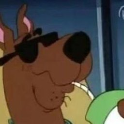 ScoobTheDog
