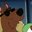 ScoobTheDog