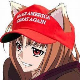 Holo The Trump Supporter