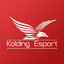 Kolding Esport