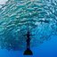 FishBender (was deleted at: 2017-06-13T14:11:14.4329074Z)