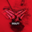 xWolfy#