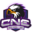Consejo Nacional E-sports