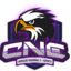 Consejo Nacional E-sports