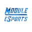 Module eSports PUBG