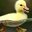 ducklord69